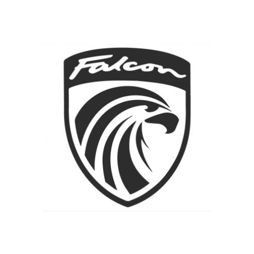 Falcon Electric Bikes