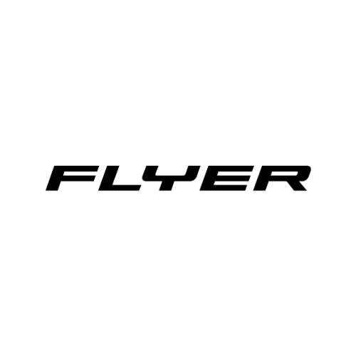 Flyer Electric Bikes