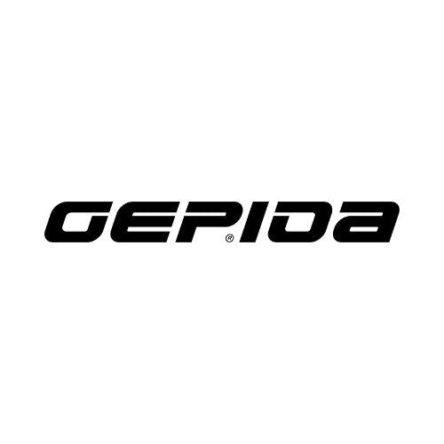 Gepida Electric Bikes